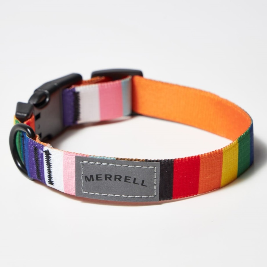 Collier Pour Chien Merrell Rainbow Pride
